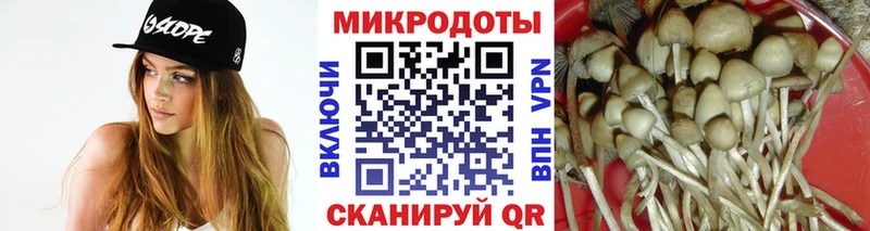 Галлюциногенные грибы Psilocybine cubensis  Энгельс 