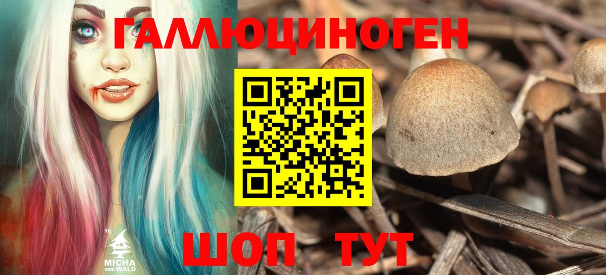 Энгельс  Псилоцибиновые грибы GOLDEN TEACHER  наркошоп  Вход с VPN  Галлюциногенные грибы мицелий 