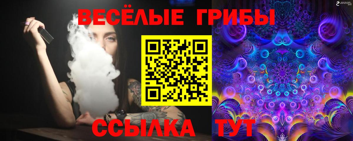 APVP Энгельс